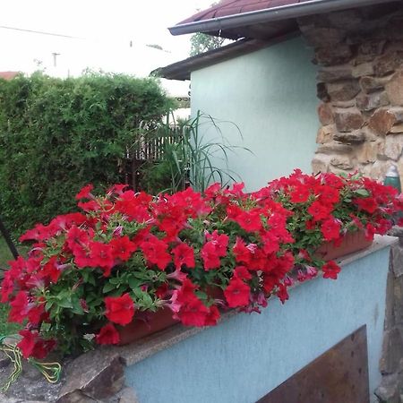 Apartmány na Hlíně Třeboň Exterior foto